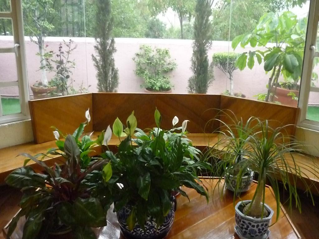 מקסיקו סיטי Casona Roma Norte מראה חיצוני תמונה